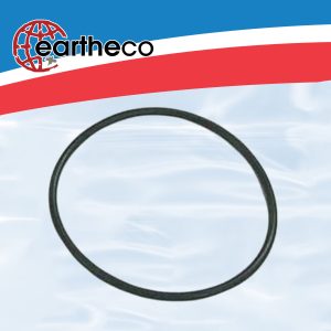 EQ Pump Lid Oring