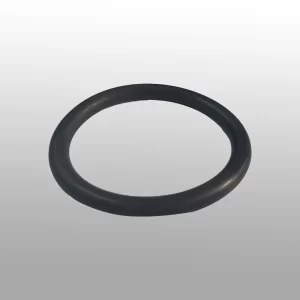 Filter Adaptor Oring